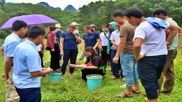 Chuyến Thăm quan trao đổi kinh nghiệm cho nông dân vùng dự án tại Than Uyên – Lai Châu đến nhóm nông dân tại Kim Bôi – Hòa Bình
